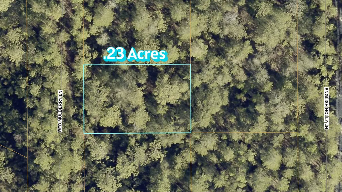 Defuniak Springs, FL 32433,Lot 9 Red Mulberry Lane