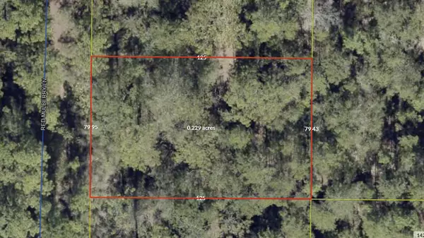 Defuniak Springs, FL 32433,Lot 9 Red Mulberry Lane