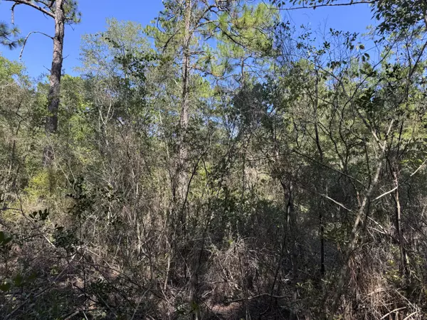 Defuniak Springs, FL 32433,Lot 9 Red Mulberry Lane