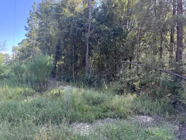 Defuniak Springs, FL 32433,1.25 Acres Granger Road