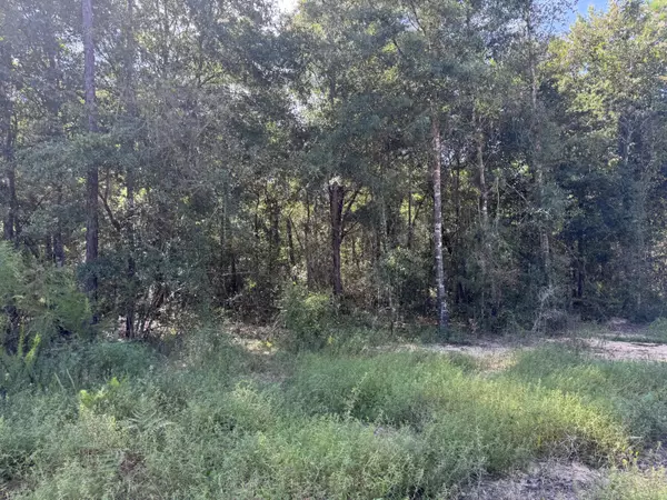Defuniak Springs, FL 32433,1.25 Acres Granger Road