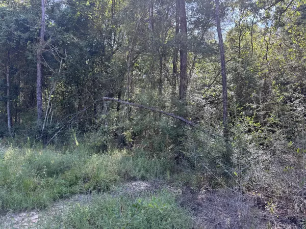 Defuniak Springs, FL 32433,1.25 Acres Granger Road