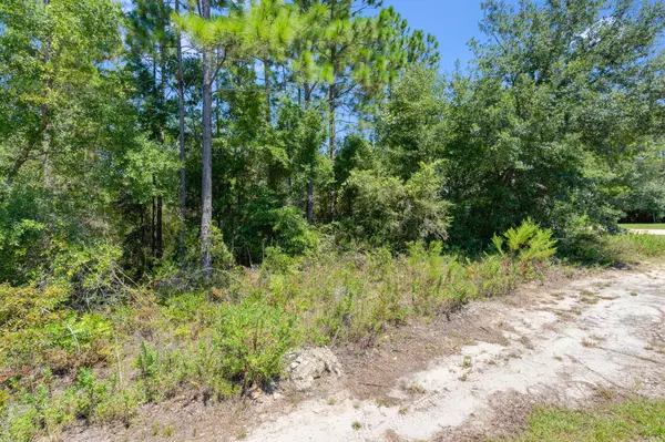 Freeport, FL 32439,Lot 4 & Lot 7 Bear Creek Cottages