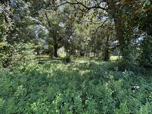 Crestview, FL 32536,3 Lots W Juniper Avenue