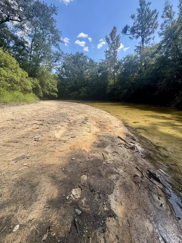 Defuniak Springs, FL 32433,X Eagles Way