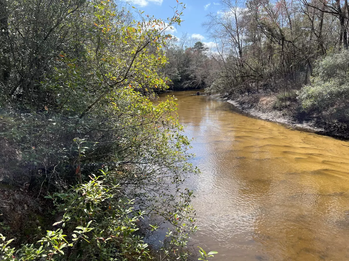 Defuniak Springs, FL 32433,X Eagles Way