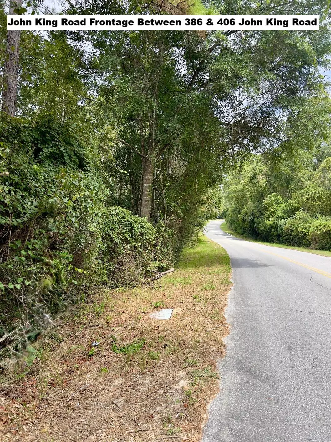 Crestview, FL 32539,22.24 Acre John King Rd