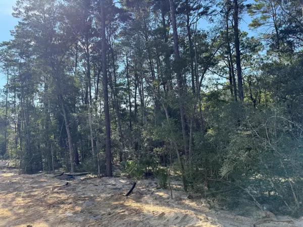 Niceville, FL 32578,181 Caraway Drive