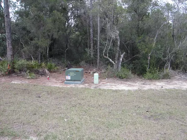 Santa Rosa Beach, FL 32459,Lot 19 Elm Street