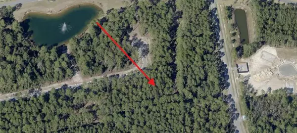 Freeport, FL 32439,lot 37 E Captain Fritz Way