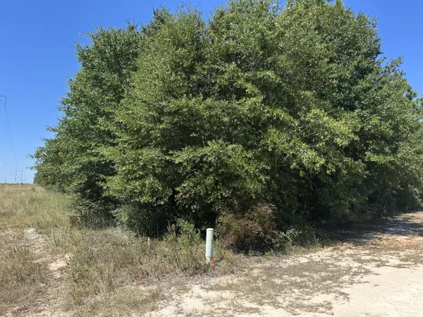 Defuniak Springs, FL 32433,0 Long Road