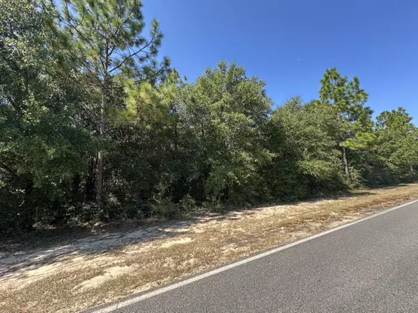Defuniak Springs, FL 32433,0 Long Road