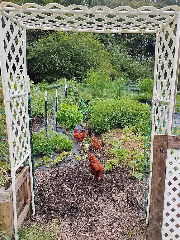 Graceville, FL 32440,650 Satellite Road