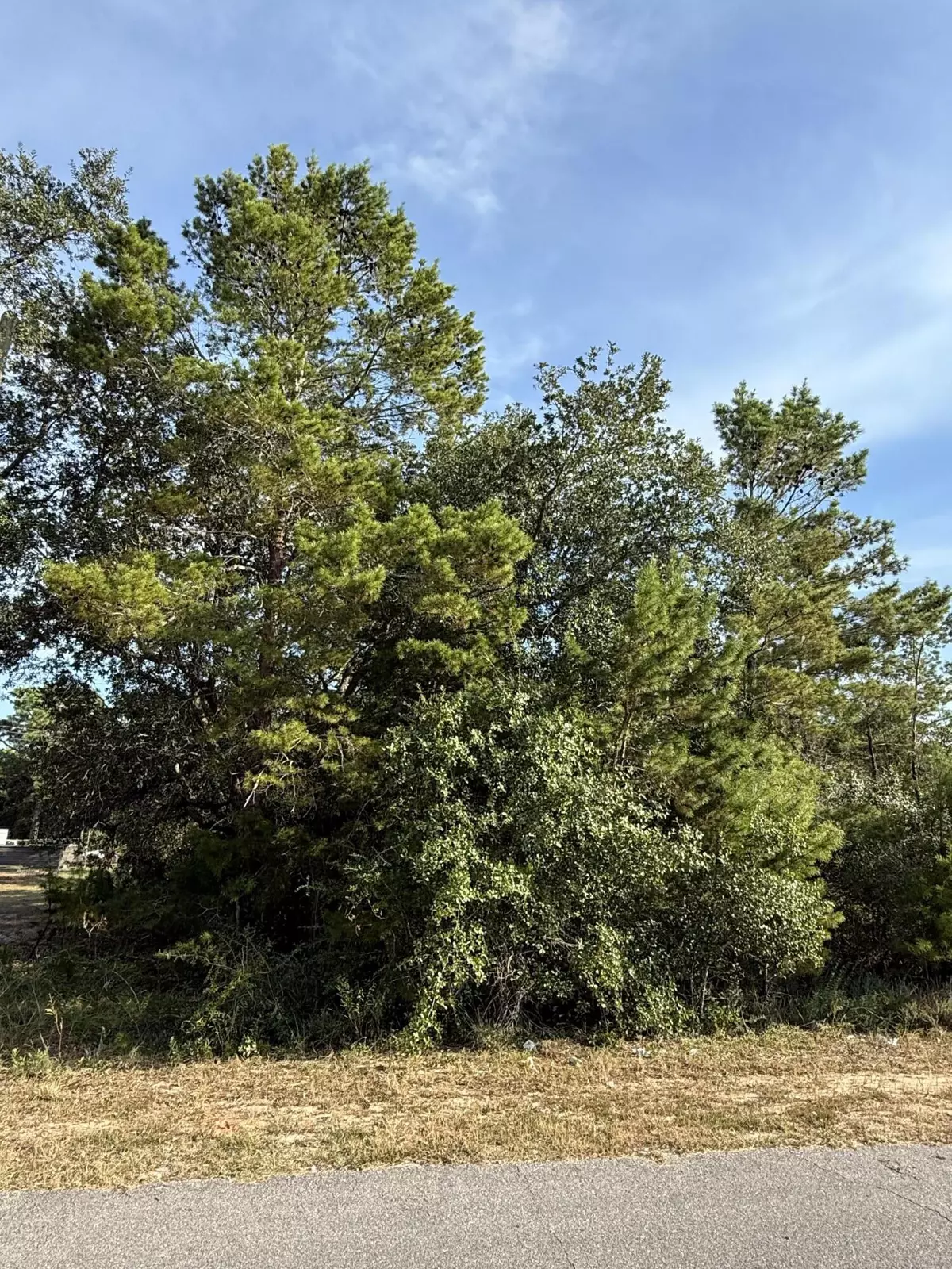 Gulf Breeze, FL 32563,Lot 49 Congress Street