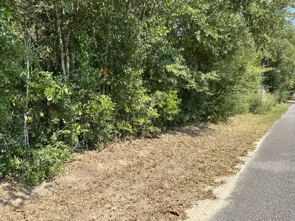 Defuniak Springs, FL 32435,TBD Sheldon Avenue