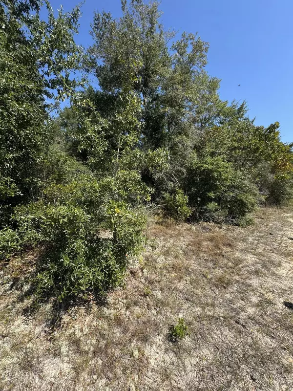 Defuniak Springs, FL 32433,Lot 9 Franck Drive