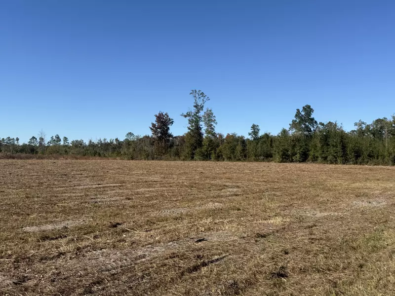 Lot 1 Hwy 71, Wewahitchka, FL 32465