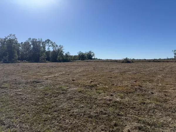 Wewahitchka, FL 32465,Lot 9 Hwy 71