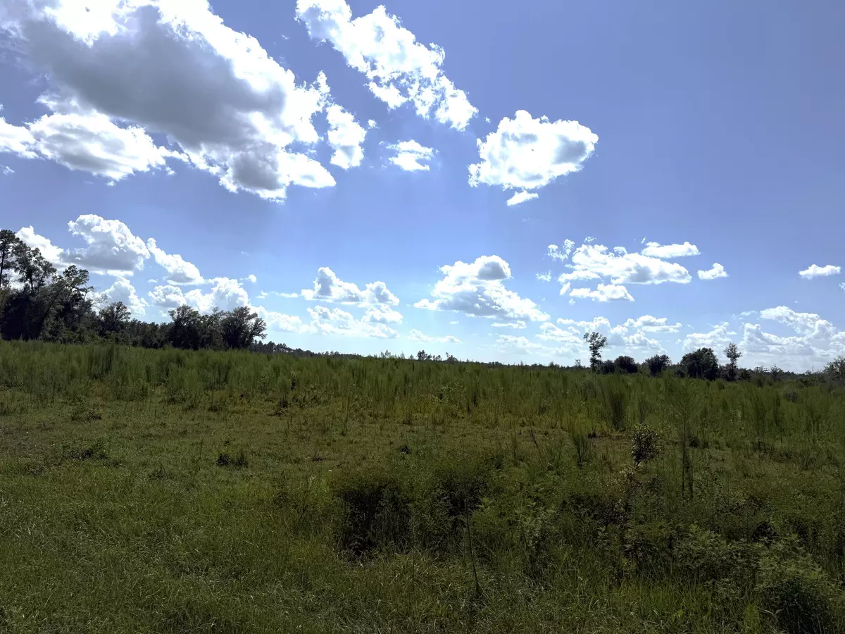 Wewahitchka, FL 32465,Lot 9 Hwy 71