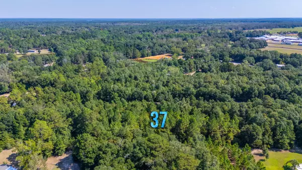 Laurel Hill, FL 32567,LOT 37 Blueberry Drive