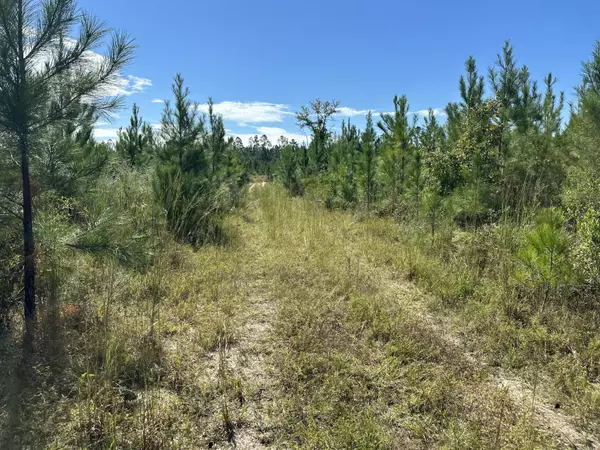 Parcel B Millside Road  #<><, Laurel Hill, FL 32567