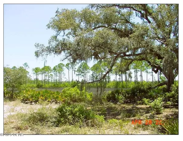 Panama City Beach, FL 32407,000 Moonlight Bay Drive