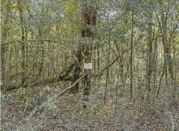 Ponce De Leon, FL 32455,Lot 25 Blue Creek Road