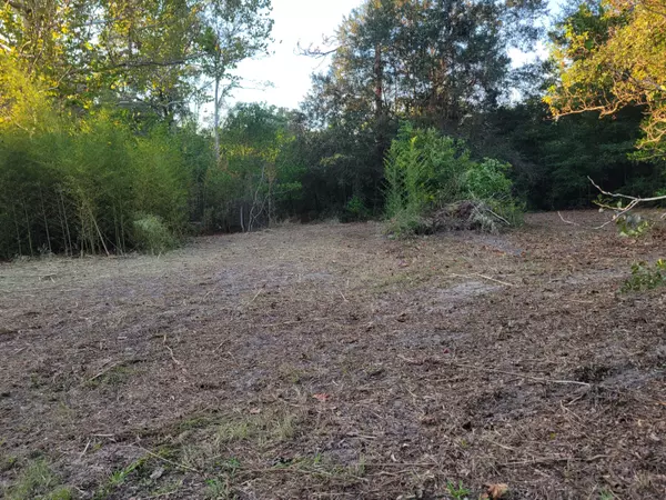 Defuniak Springs, FL 32433,253 Argyle Church Road