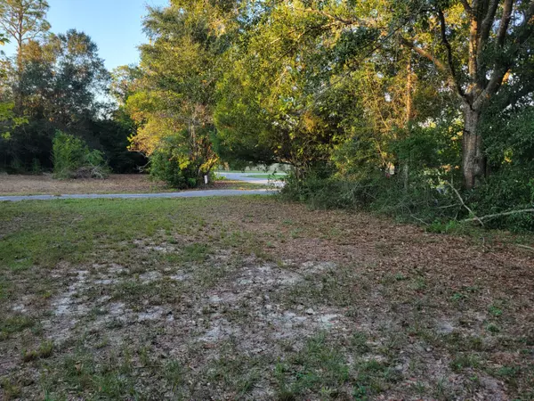 Defuniak Springs, FL 32433,253 Argyle Church Road