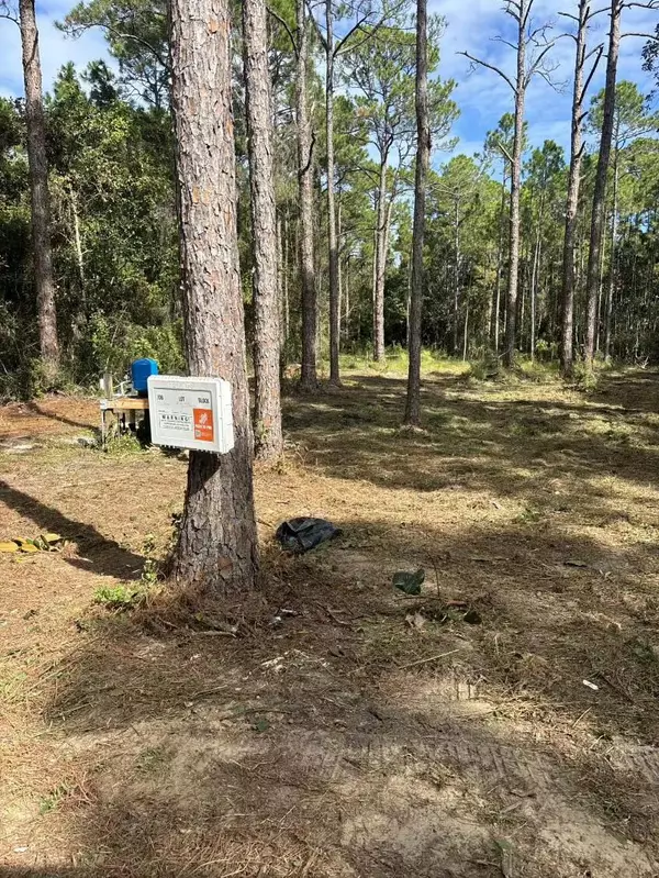 Santa Rosa Beach, FL 32459,00 14th Street