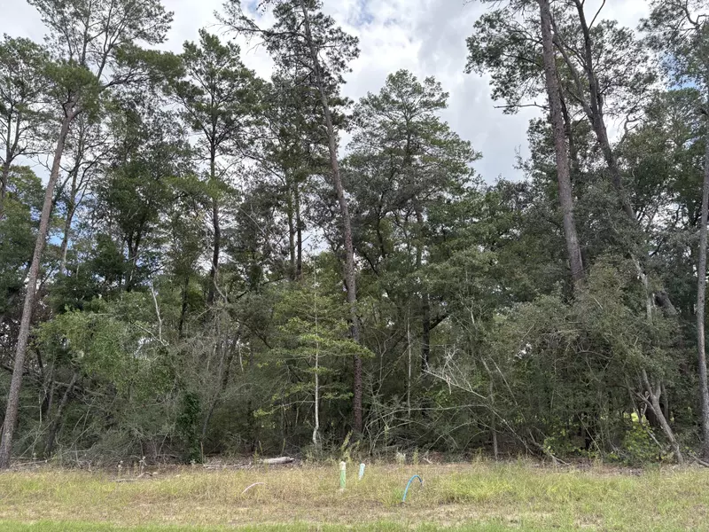 303 Yarrow Lane, Niceville, FL 32578