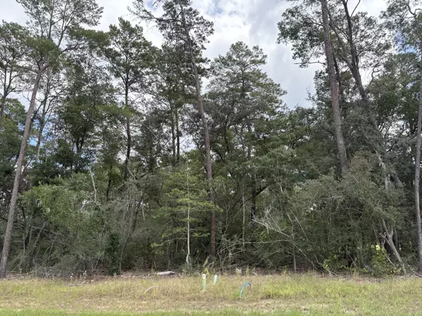 303 Yarrow Lane, Niceville, FL 32578