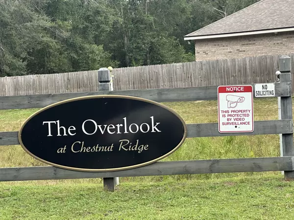 Crestview, FL 32539,TBD Wild Hare Lane