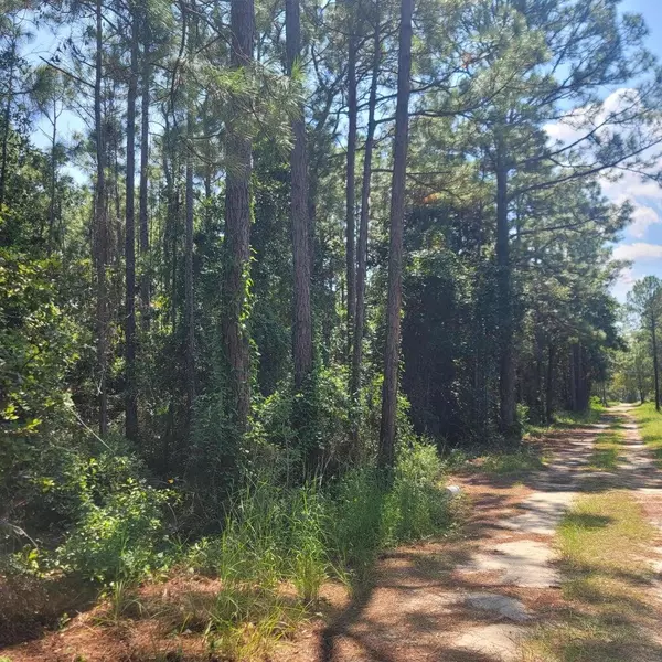 Santa Rosa Beach, FL 32459,Lot 21 Santa Maria Drive