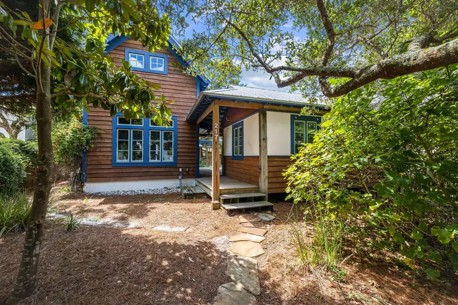 217 Walton Rose Lane, Inlet Beach, FL 32461