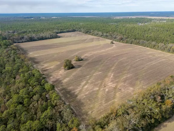 Baker, FL 32531,0000 N Bob Brooks Road