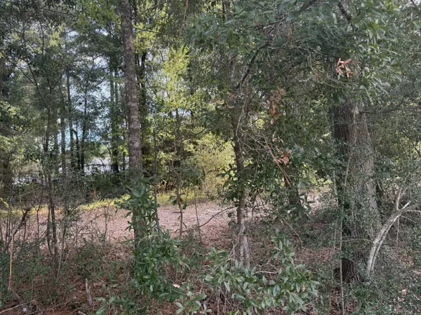 Defuniak Springs, FL 32433,TBD Highway 90