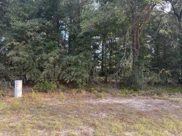 Defuniak Springs, FL 32433,TBD Highway 90