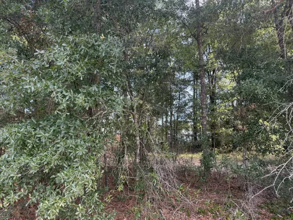 Defuniak Springs, FL 32433,TBD Highway 90