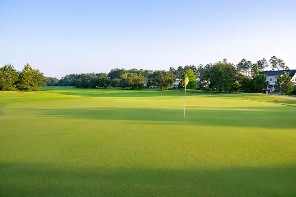 Watersound, FL 32461,190 Green Heron Street #Lot 37