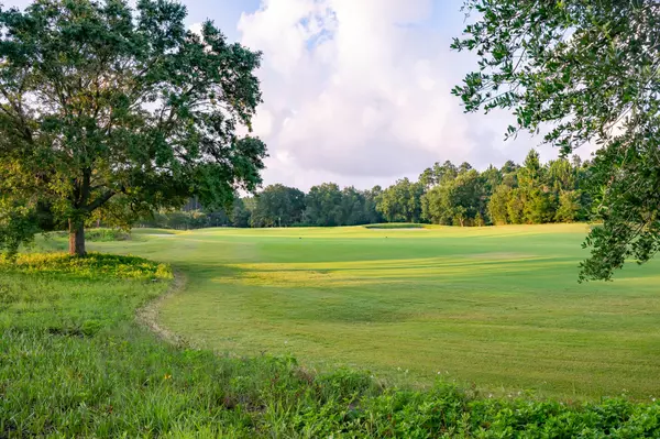 Watersound, FL 32461,TBD W Firethorn Circle  #Lot 45