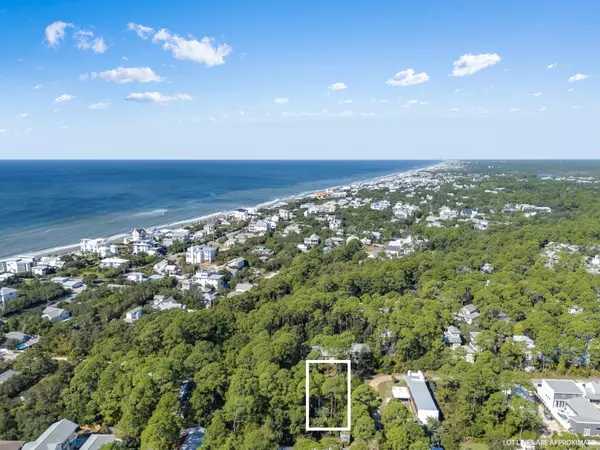 Santa Rosa Beach, FL 32459,Lot 24 N Blk 13 Dothan Avenue