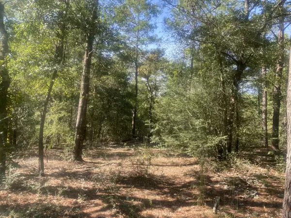 Defuniak Springs, FL 32433,TBD Camelot Avenue