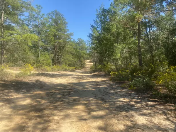 Defuniak Springs, FL 32433,TBD Camelot Avenue