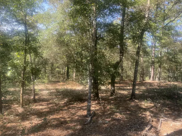 Defuniak Springs, FL 32433,TBD Camelot Avenue