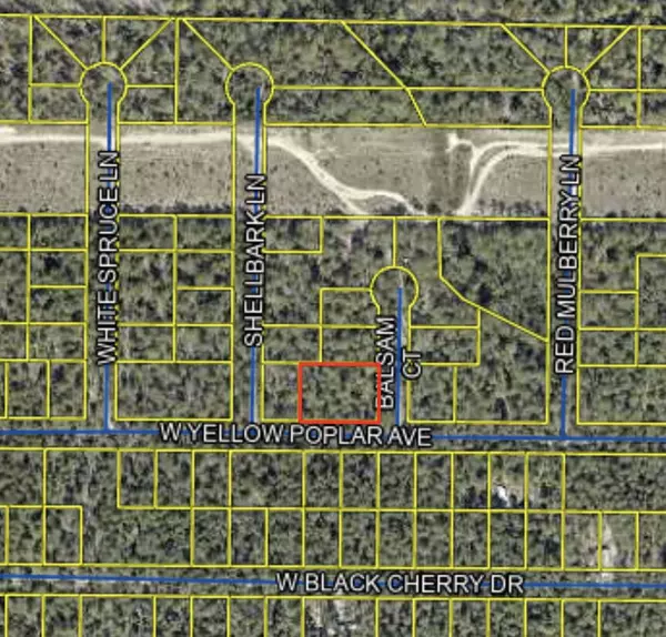 Defuniak Springs, FL 32433,0 W Yellow Popular Avenue