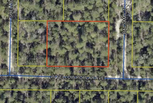 Defuniak Springs, FL 32433,0 W Yellow Popular Avenue