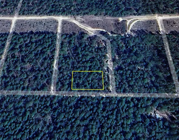 0 W Yellow Popular Avenue, Defuniak Springs, FL 32433
