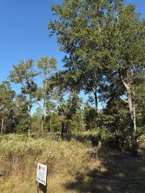 Defuniak Springs, FL 32433,Lot 48 Howlin Road