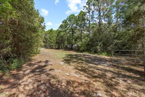 Navarre, FL 32566,9251 Timber Lane